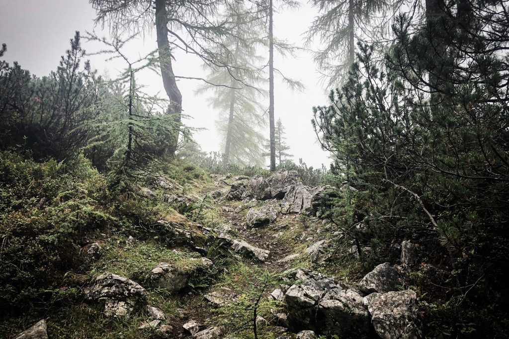 Gore-Tex Transalpine Run