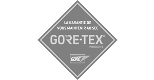 Gore-Tex Transalpine Run