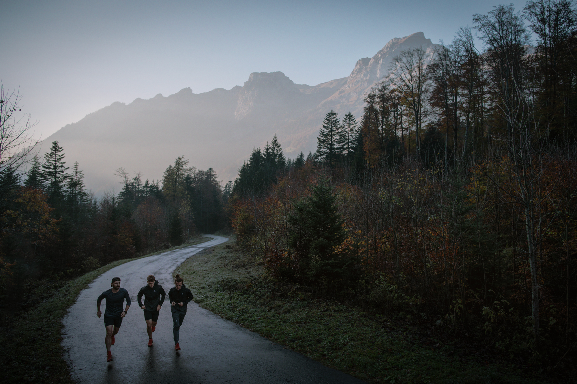 Via Alpina - Suisse w/ les Others