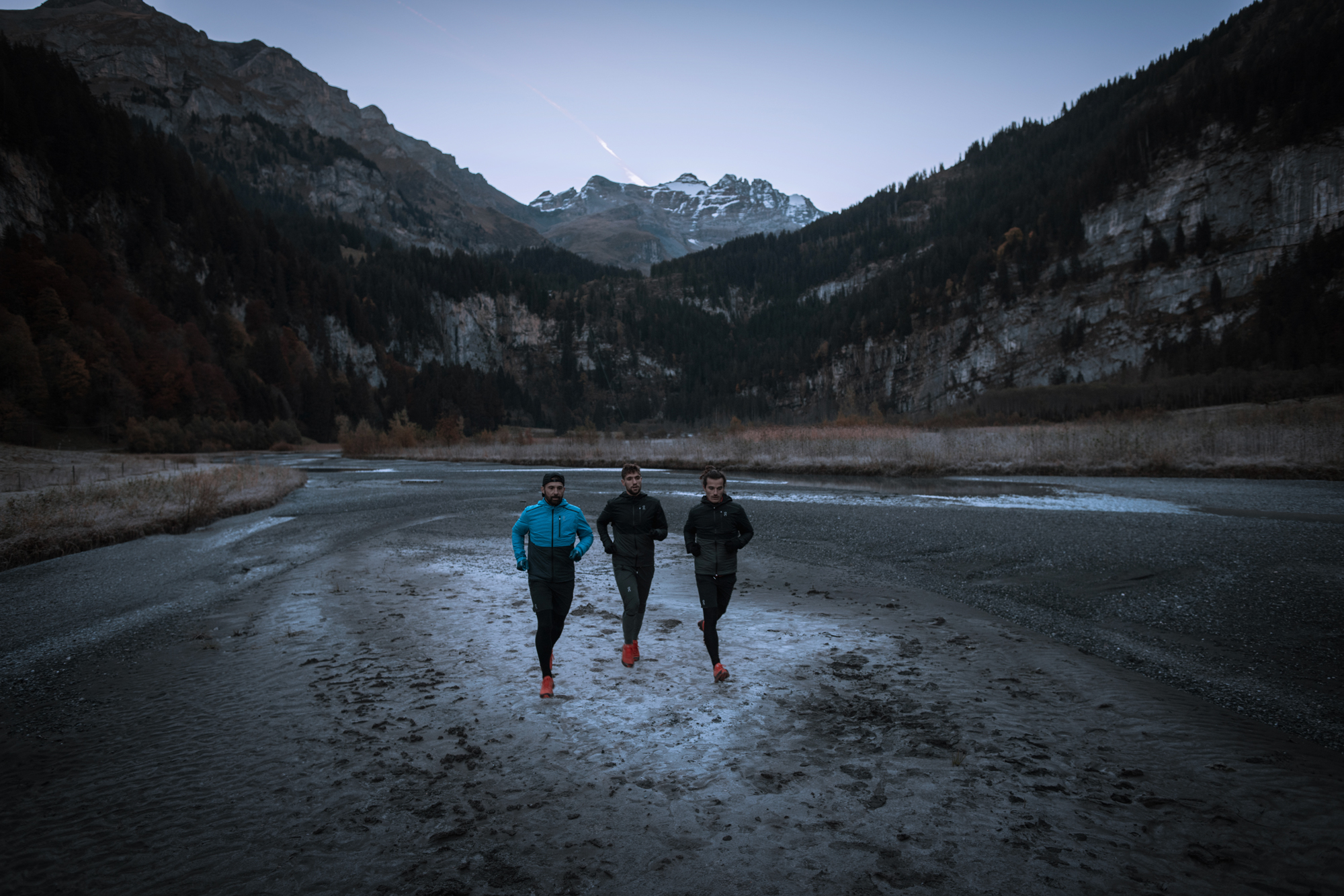 Via Alpina - Suisse w/ les Others