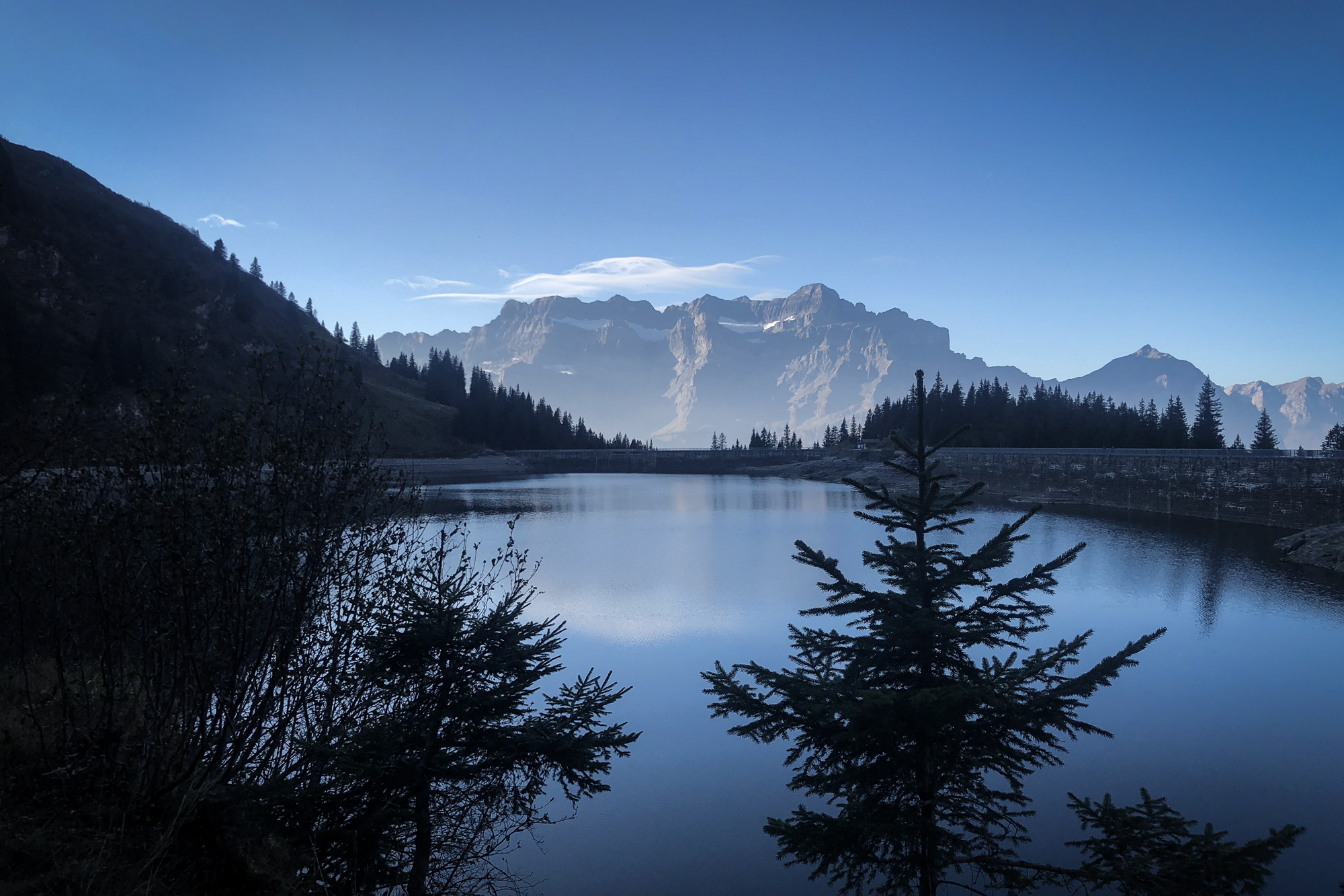 Via Alpina - Suisse w/ les Others
