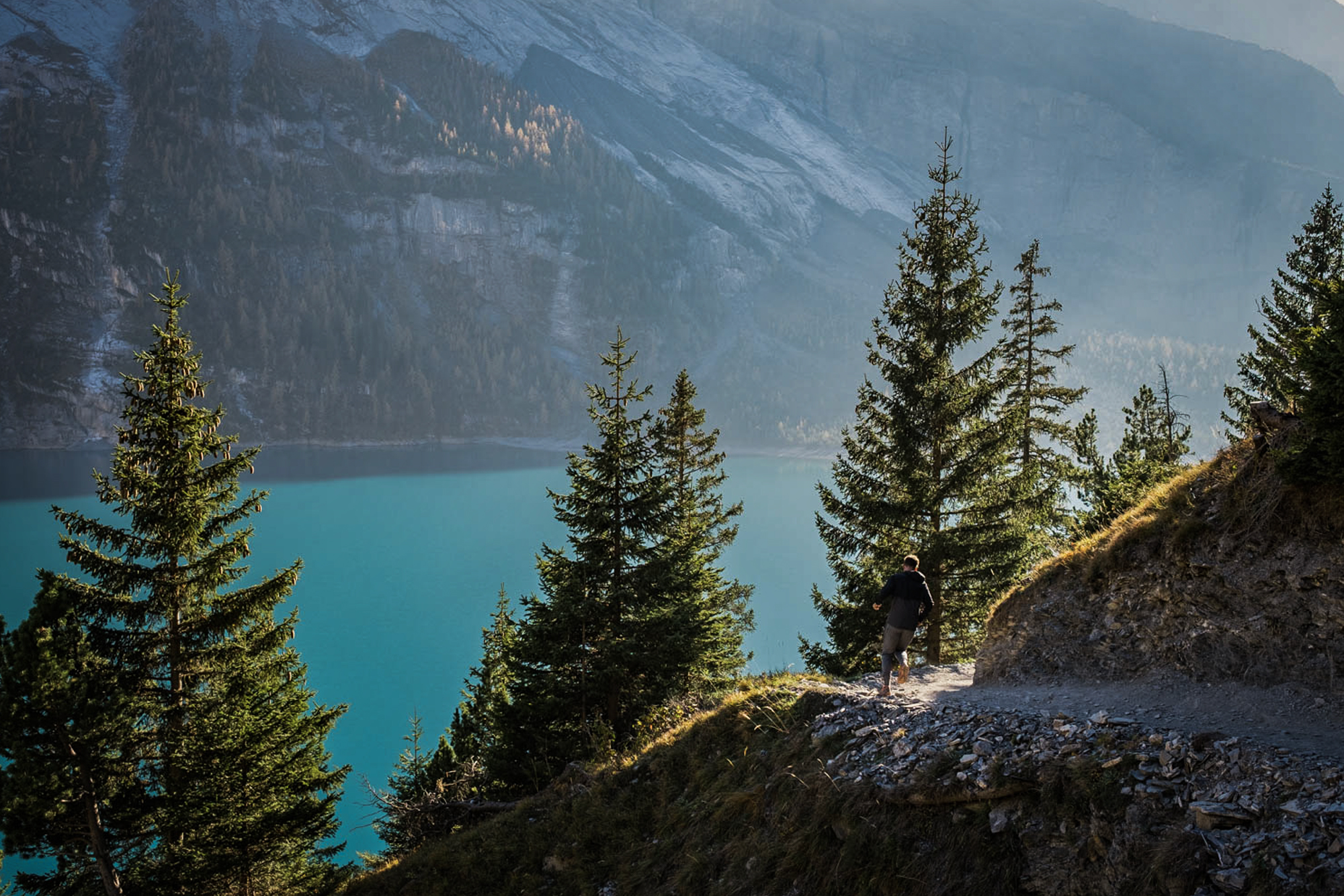 Via Alpina - Suisse w/ les Others