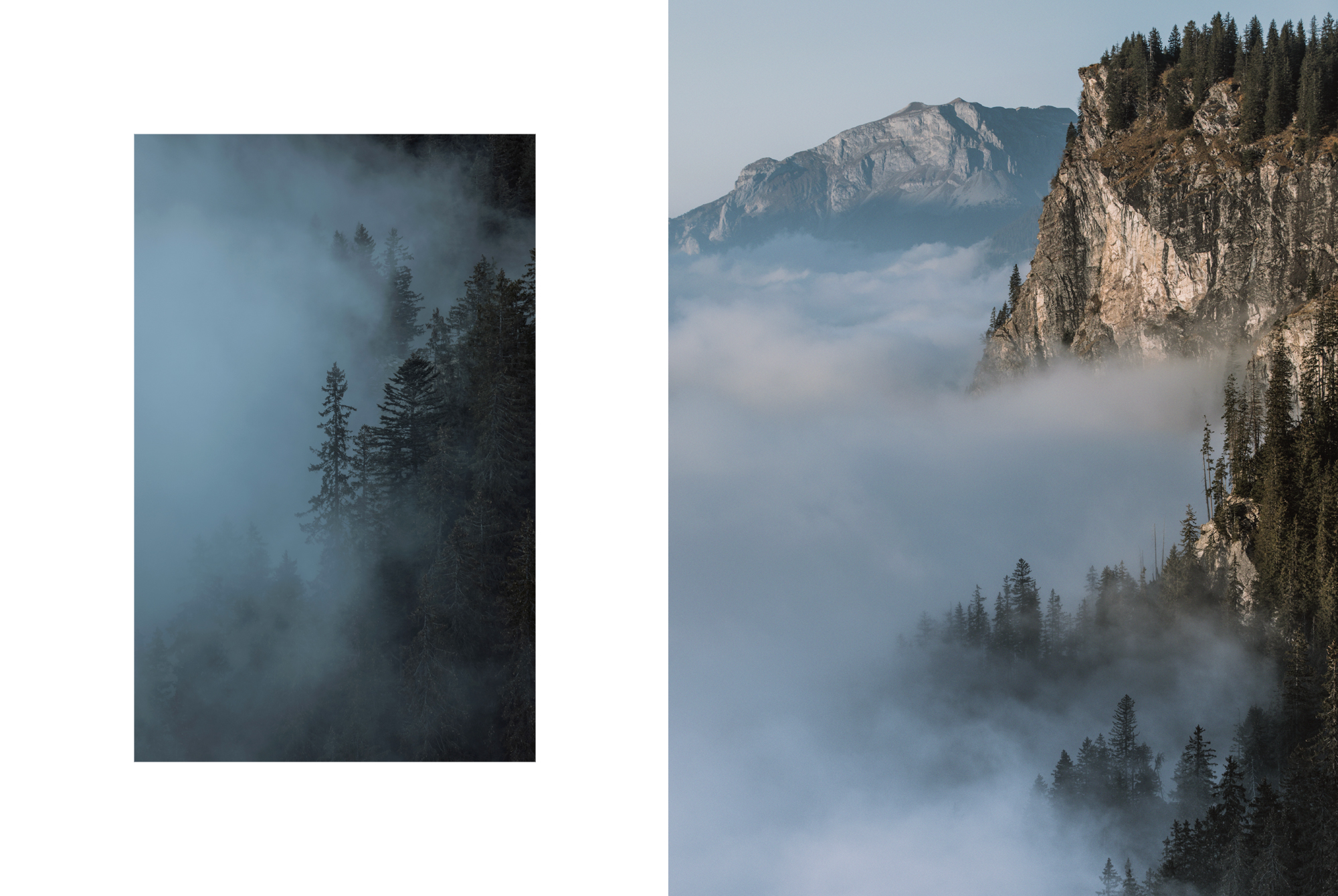 Via Alpina - Suisse w/ les Others